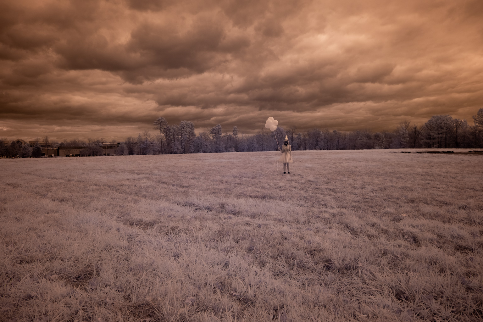 An infrared image of a field under a pandemic sky.